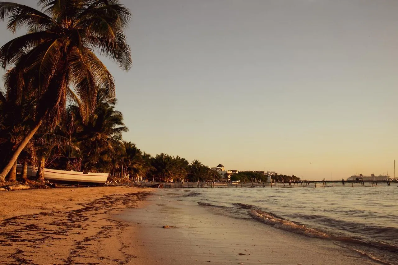 Hotel Luna De Plata Mahahual